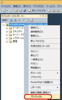 「Microsoft SQL Server Management Studio」プロパティ